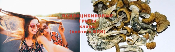 марки nbome Беломорск