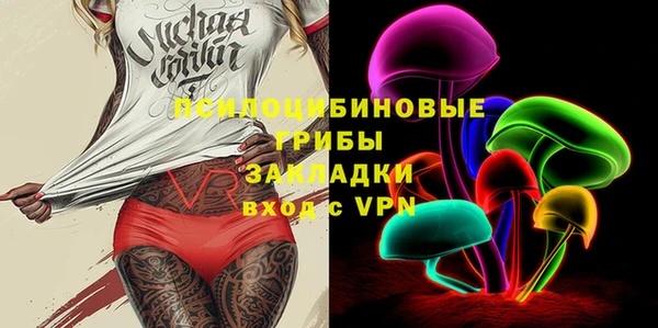 твердый Белокуриха